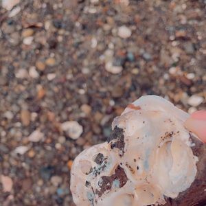 Meet your Posher, Amelia